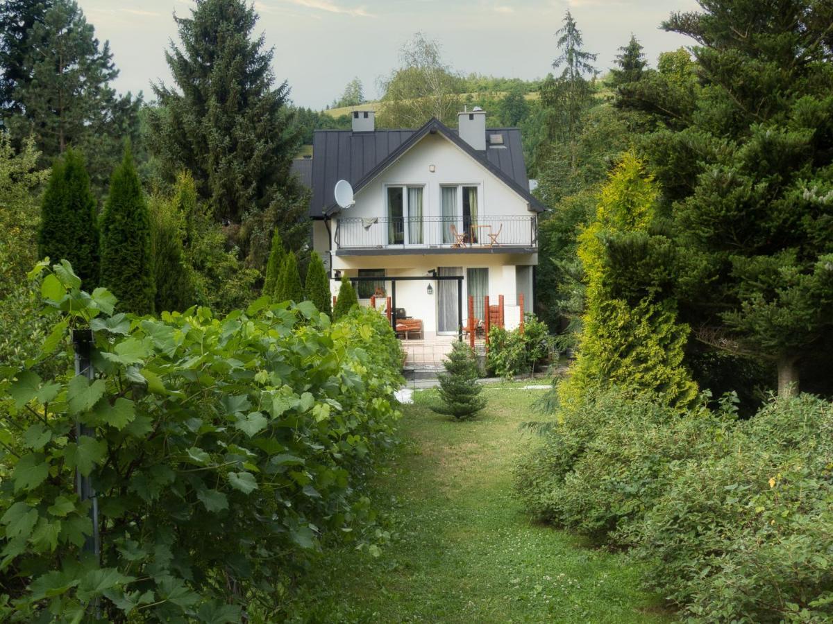 Villa Hasaba Kroscienko nad Dunajcem ภายนอก รูปภาพ